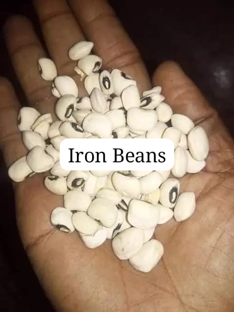 Iron Beans 110kg