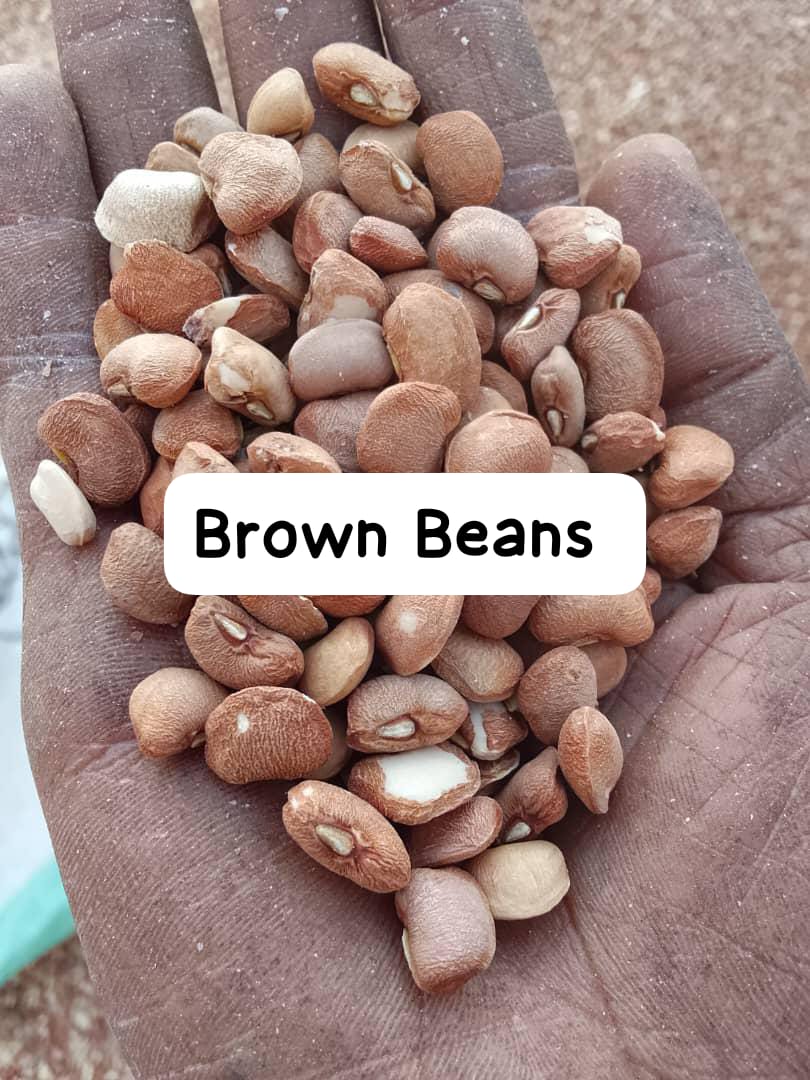 Iron Brown Beans 110kg