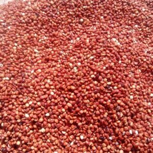 Dawa (Guinea Corn) 110kg