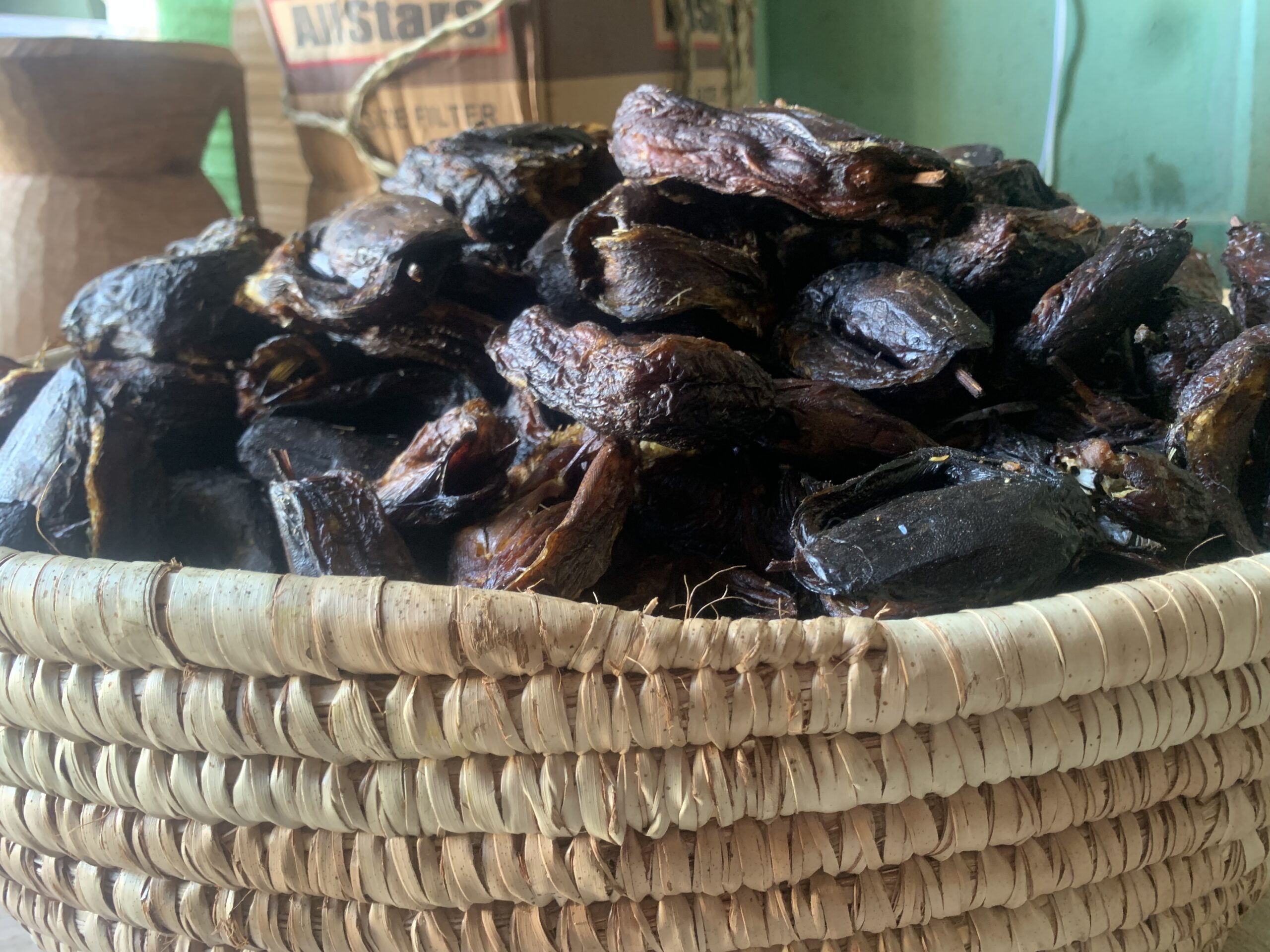 Mud Fish 10kg - Image 4