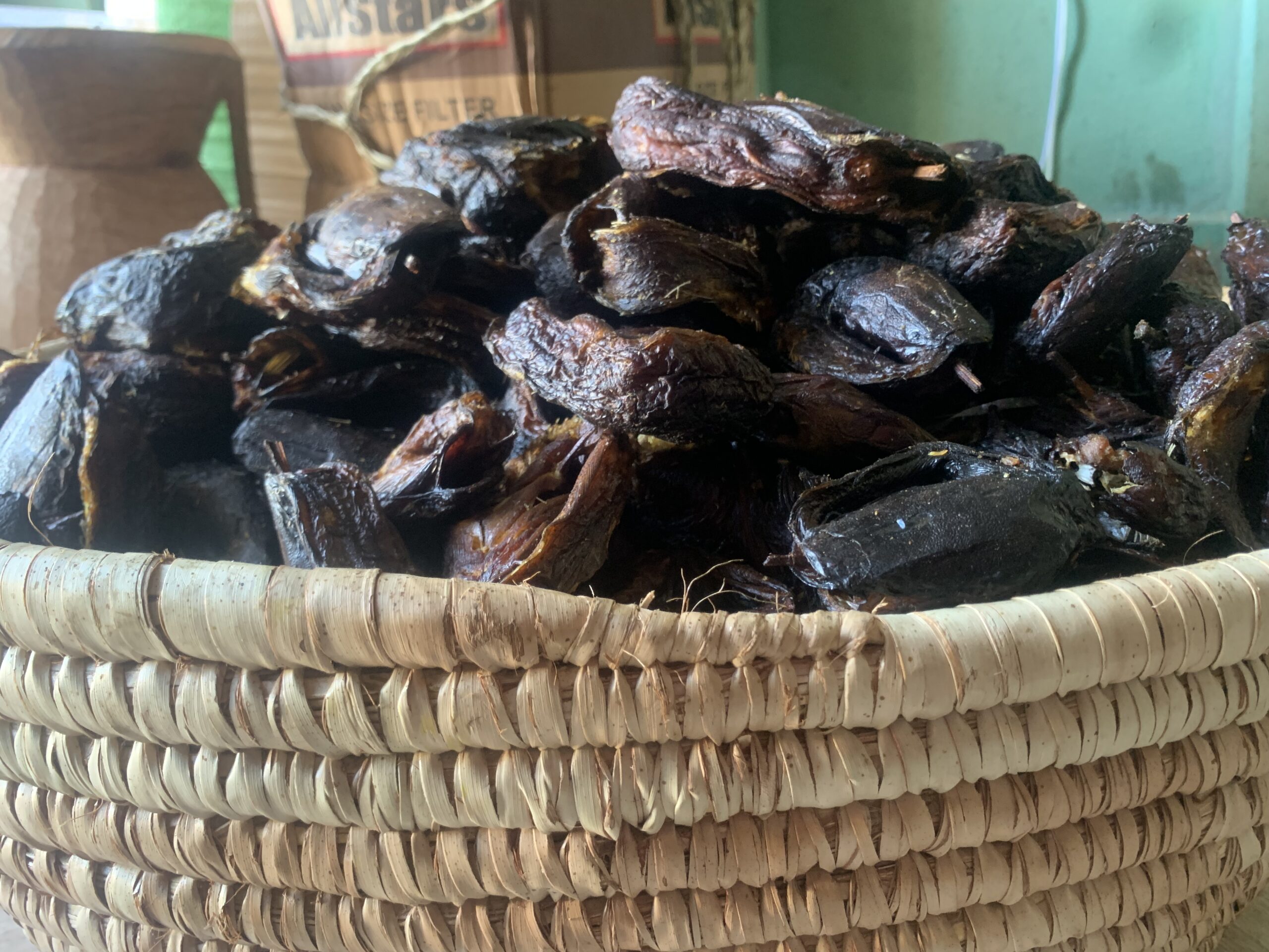 Mud Fish 10kg - Image 3