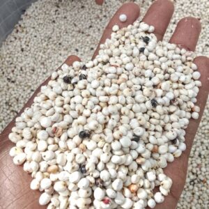 White Dawa (Guinea Corn) 110kg
