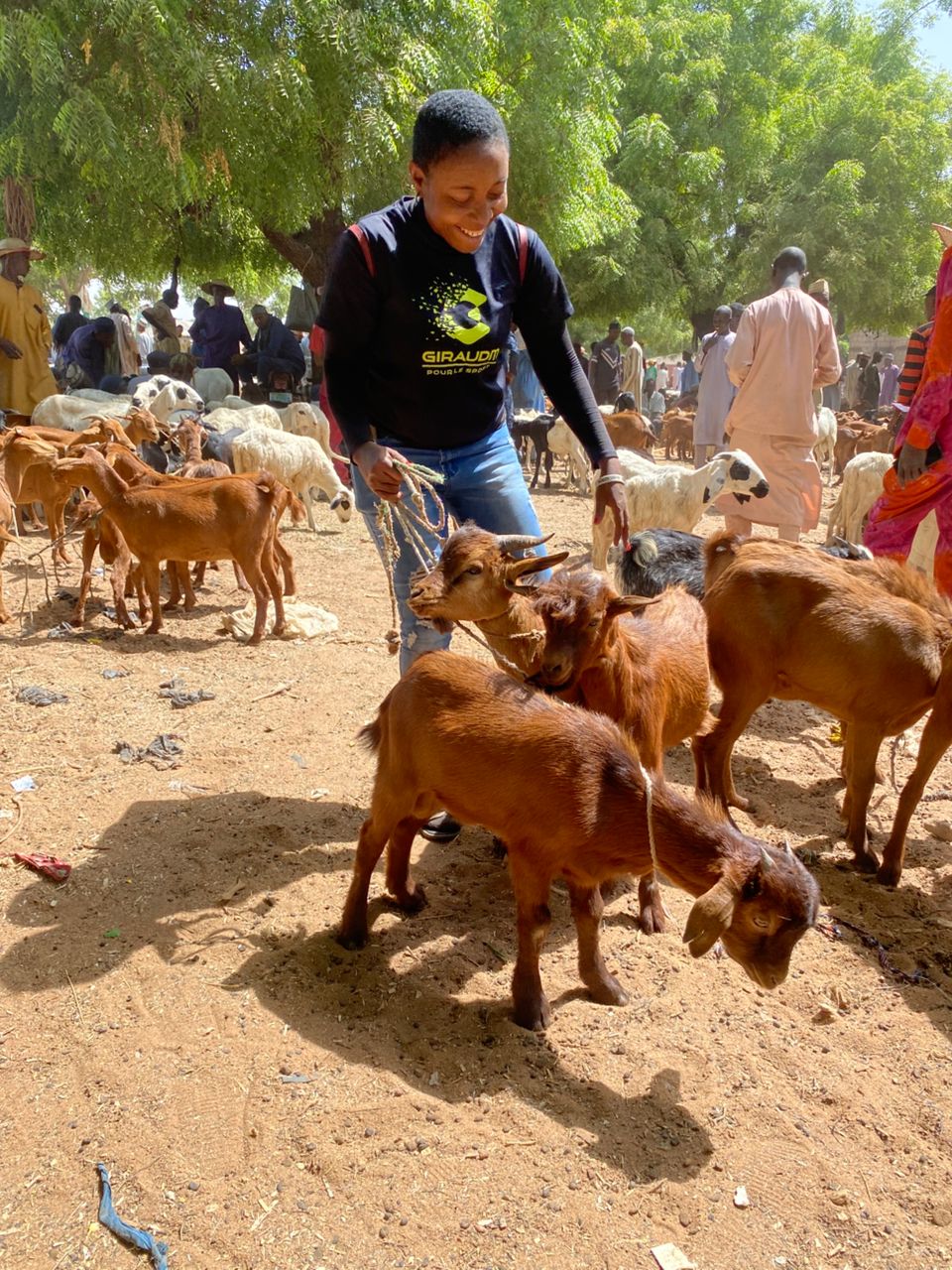 3 GOAT WITH DRYING & DELIVERY